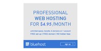 bluehost web hosting google display ad