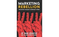 marketing rebellion mark schaefer